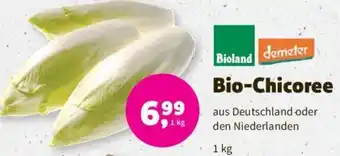 Denns BioMarkt Bioland/Demeter Bio Chicoree 1 kg Angebot