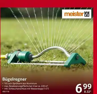 Selgros Meister Bügelregner Angebot