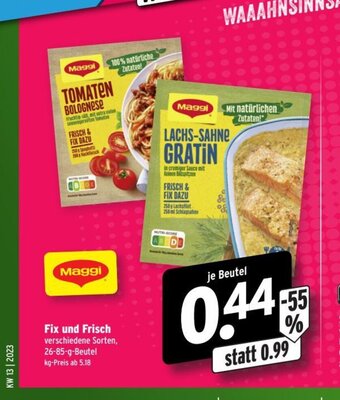 Wasgau Maggi Fix und Frisch Angebot