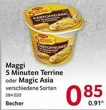 Selgros Maggi 5 Minuten Terrine Oder Magic Asia Angebot