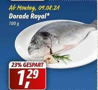 Simmel Dorade Royal Angebot