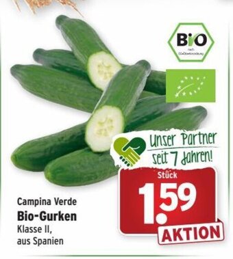 Wasgau Bio-gurken Angebot