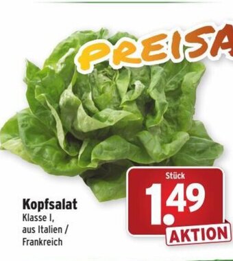 Wasgau Kopfsalat Angebot