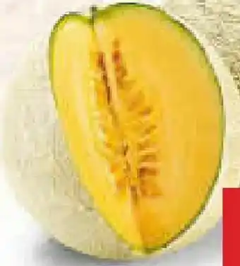 Netto Marken-Discount Cantaloupemelone Gwanipa Angebot