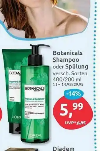 Budni Botanicals Shampoo Oder Spülung Angebot