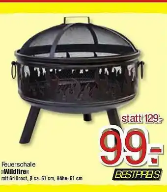 B1 Discount Baumarkt Feuerschale „wildfire” Angebot