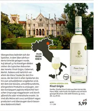 Biocompany Azienda Agricola Giol Pino Grigio Angebot