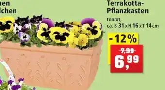 Thomas Philipps Terrakotta-Pflanzkasten Angebot