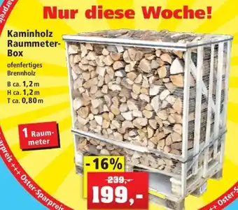 Thomas Philipps Kaminholz Raummeter Box Angebot