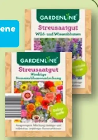 Aldi Nord Blumen-saatgut Angebot