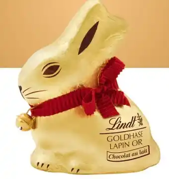 Netto Marken-Discount Goldhase Angebot