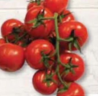 Edeka Frischemarkt Strauchtomaten Angebot