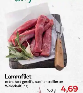 AEZ Lammfilet Angebot