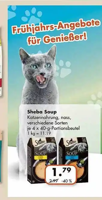 V Markt Sheba soup Angebot