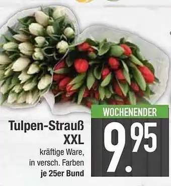 E-Center Tulpen-strauß xxl Angebot