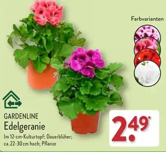 Aldi Nord Gardenline Edelgeranie Angebot