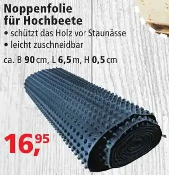 Thomas Philipps Noppenfolie für Hochbeete Angebot