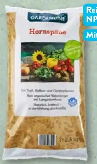 Aldi Nord Hornspäne Angebot