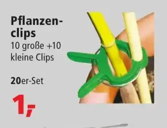 Thomas Philipps Pflanzenclips 20 er Set Angebot