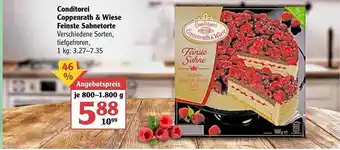 Globus Conditorei Coppenrath & Wiese Feinste Sahnetorte 800-1800g Angebot