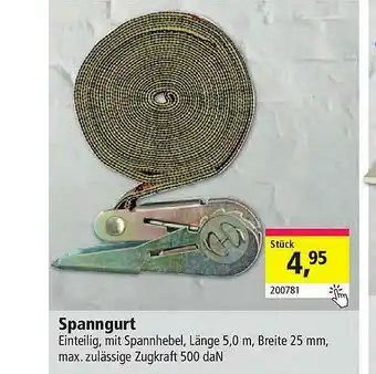 Holz Possling Spanngurt Angebot