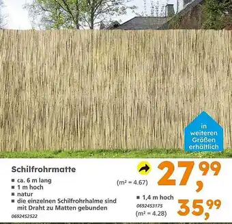 Globus Baumarkt Schilfrohrmatte Angebot