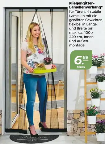 NETTO Fliegengitter Lamellenvorhang Angebot