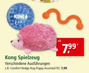 Fressnapf Kong Spielzeug Angebot