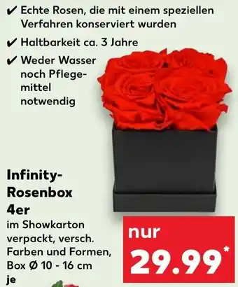 Kaufland Infinity Rosenbox 4er Angebot