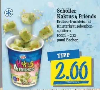 NP Discount Schöller Kaktus 4 Friends 90ml Becher Angebot