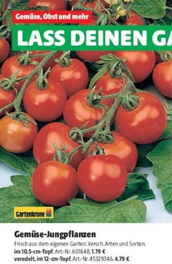 Hagebau Gartenkrone Gemuse-Jungpflanzen Angebot