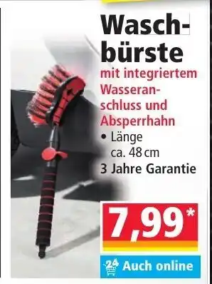 Norma Waschbürste Angebot