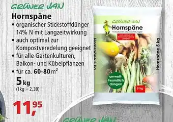 Thomas Philipps Grüner jan hornspäne Angebot