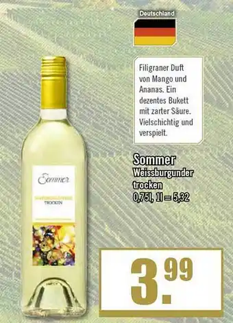 Zisch Sommer weißburgunder Angebot