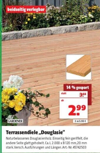 Hagebau Mr. Gardener Terrassendiele Douglasie Angebot