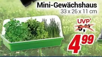 CENTERSHOP Mini Gewächshaus 33 x 26 x 11cm Angebot