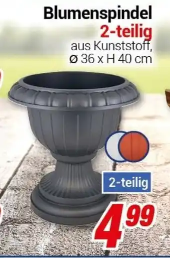 CENTERSHOP Blumenspindel 2 teilig Ø 36 x H 40 cm Angebot