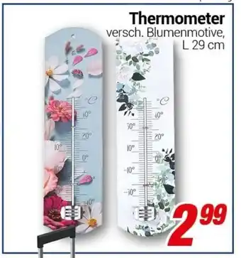 CENTERSHOP Thermometer L 29 cm Angebot