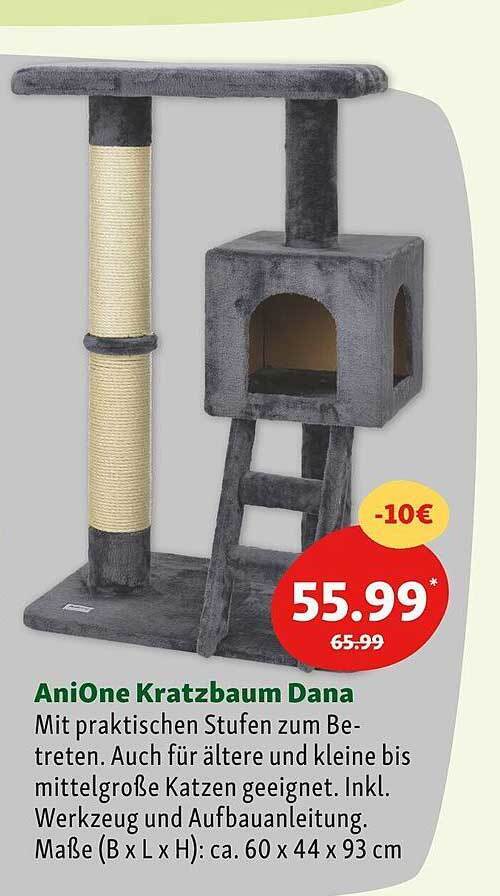 welches nassfutter für hunde ist das beste KallisBest Reines Hühnchen – Natürliches Hundefutter