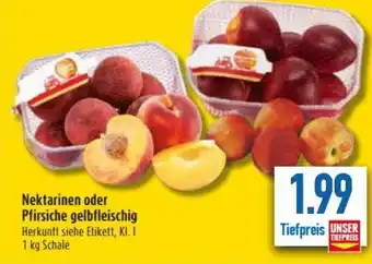 diska Nektarinen oder Pfirsiche gelbfleischig 1kg Angebot