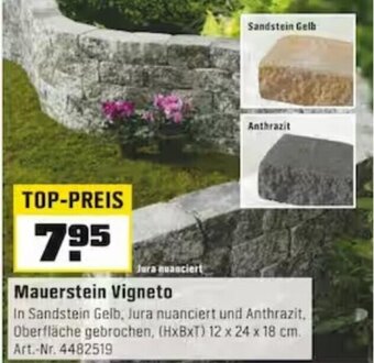 OBI Mauerstein Vigneto Angebot