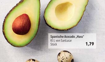 CITTI Markt Avocados Hass Angebot