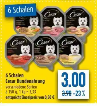 diska 6 Schalen Cesar Hundenahrung 150g Angebot