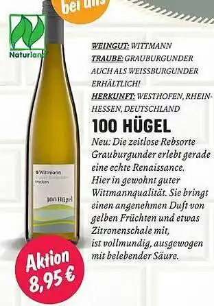 Temma 100 Hügel Angebot