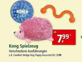 Fressnapf Kong Spielzeug Angebot