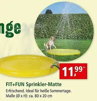 Fressnapf Fit+fun Sprinkler-matte Angebot