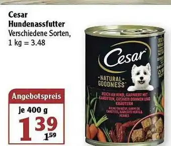 Globus Cesar Hundenassfutter Angebot