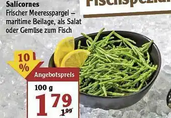 Globus Salicornes Angebot