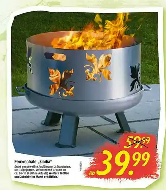 Hagebau Feuerschale „sicilia” Angebot