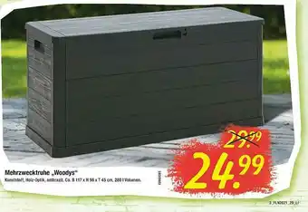 Hagebau Mehrzwecktruhe „woodys” Angebot